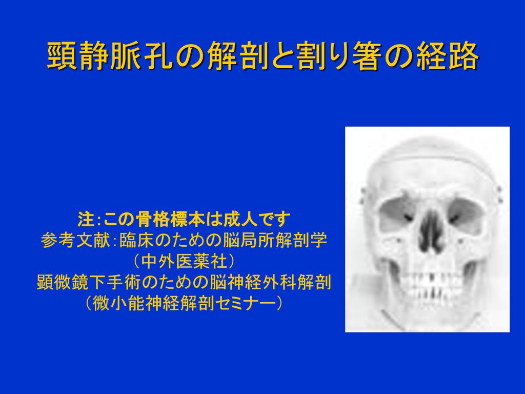 臨床のための脳局所解剖学 www.fongc.org